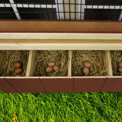 EZ-Fit 5x8 Portable Chicken Coop Kit Gallery Image 5 by