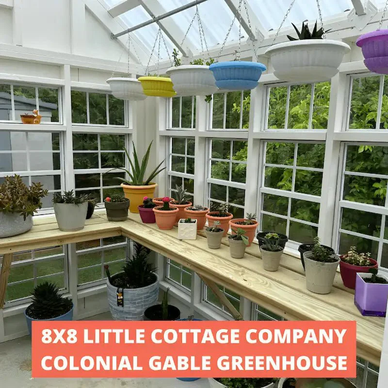 Little Cottage Co. Colonial Gable Greenhouse - Image 9